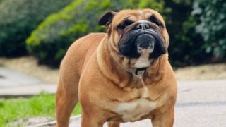 受賞しました！